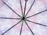 Зонт  женский Umbrellas, арт.530-5_product